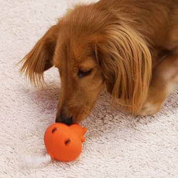 Amazon | ドギーマン どきどきラテックス ちょんまげくん